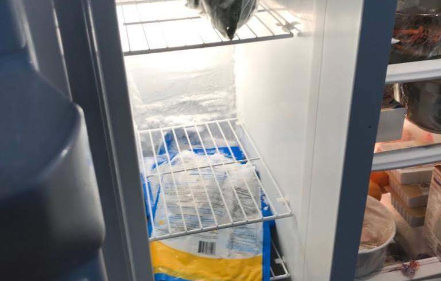 Frequent freezer issues
