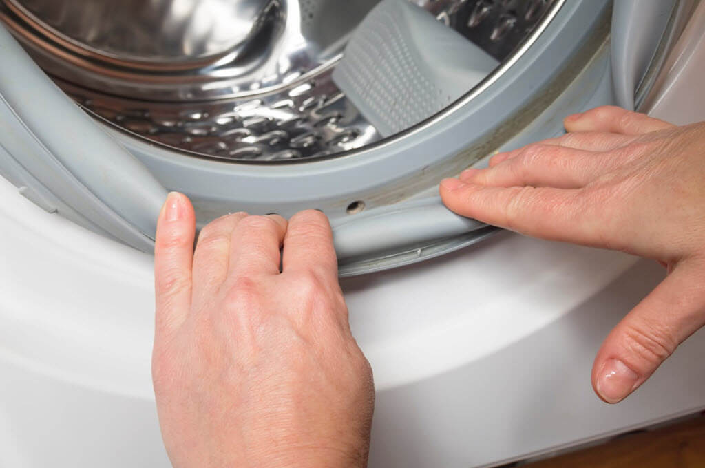 What to do with Mold on your Washer's Gasket | Capital Appliance Repair