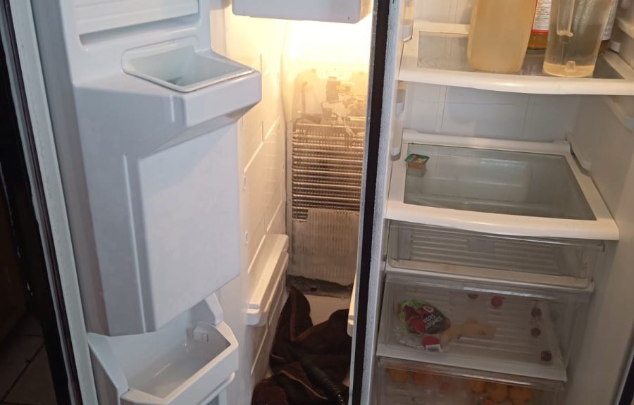 complete fridge repairs