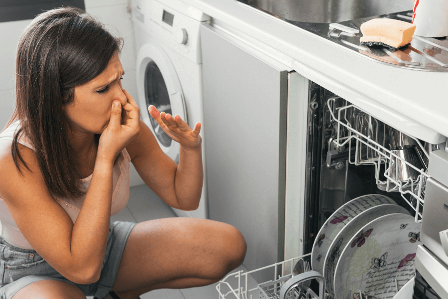 dishwasher emitting bad odours