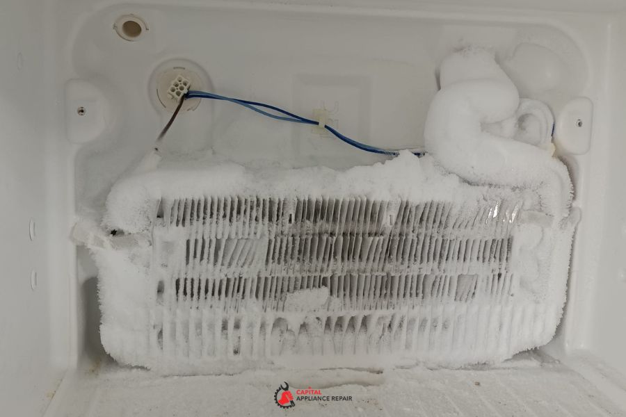 test freezer door gasket